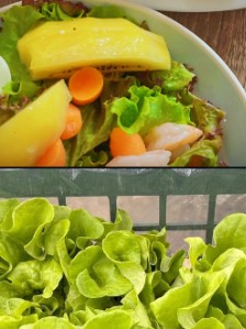 整齊排列的農作物