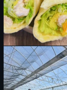 農場溫室栽培環境